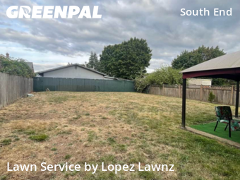 Grass Cut nearby Tacoma, WA, 