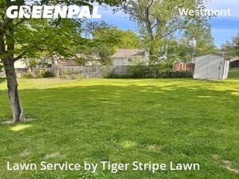 Lawn Mowing nearby Papillion, NE, 