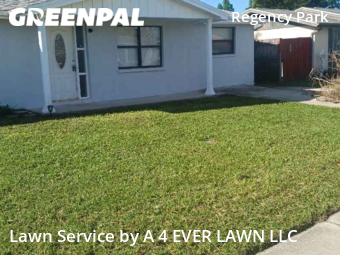 Yard Cutting nearby Port Richey, FL, 