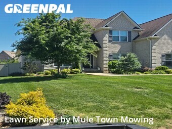 Lawn Mowing Service nearby Christiana, TN, 