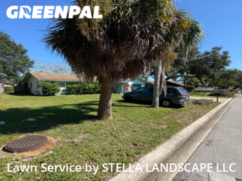 Grass Cut nearby Dunedin, FL, 
