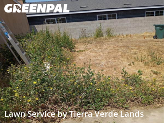 Work completed by residential-lawn-cutting-businesses-in-Inglewood-CA