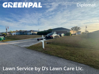 Grass Care in Cape Coral, 33909, Yard Work by D’s Lawn Care Llc., work completed in Dec , 2025