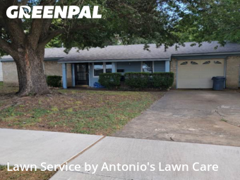 Grass Cuttingin Euless,76039,Lawn Care by Antonio's Lawn Care, work completed in Nov , 2025