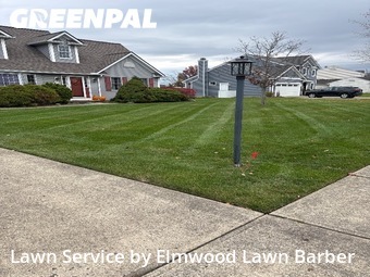 Grass Cut nearby Avon, OH, 