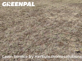Lawn mowing work completed in Imperial Beach, CA
