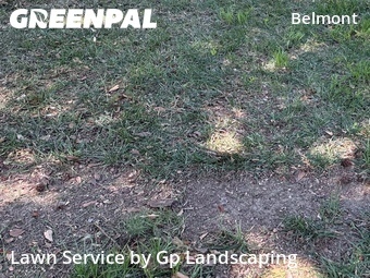 Yard Cutting nearby Charlotte, NC, 
