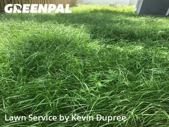 Lawn Care nearby Valrico, FL, 