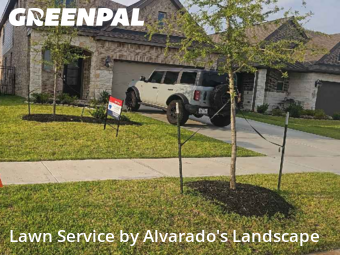 Yard Mowingin Porter,77365,Lawn Mowing Service by Alvarado's Landscape, work completed in Nov , 2025