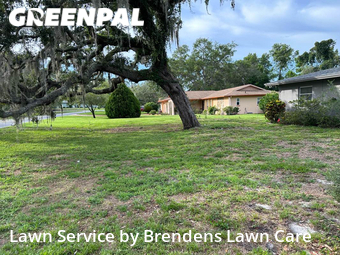 Yard Cutting nearby Spring Hill, FL, 
