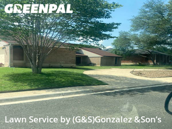 Lawn Care Service nearby San Antonio, TX, 