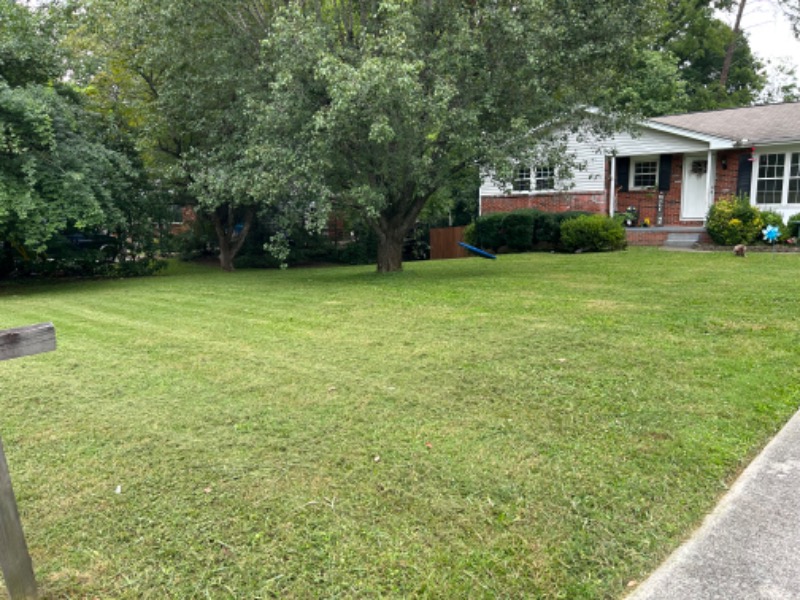 Precision 1 Property Lawn Care Services in Knoxville, TN