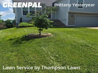 Lawn Servicein Olathe,66061,Yard Cutting by Thompson Lawn, work completed in Jun , 2026