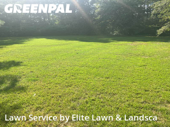 Yard Cutting nearby Cordova, MS, 