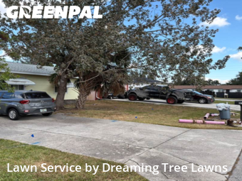 Grass Cut nearby Pinellas Park, FL, 