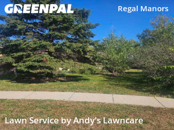 Work completed by local-lawn-cutting-services-in-Apple Valley-CA