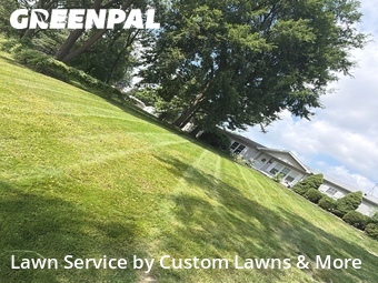 Lawn mowed in Wayne, 48184