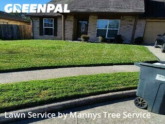 Lawn Cut nearby Friendswood, TX, 