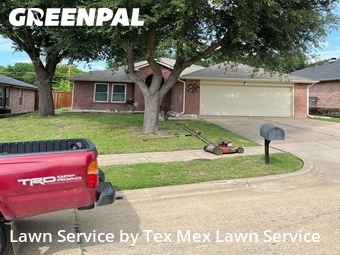 Lawn Mow nearby Dallas, TX, 