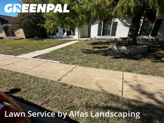 Grass Cutin The Colony,75056,Lawn Mowing by Alfas Landscaping, work completed in Dec , 2025
