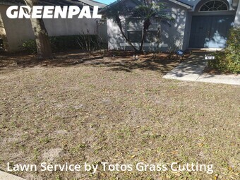 Lawn Care Service nearby South Apopka, FL, 