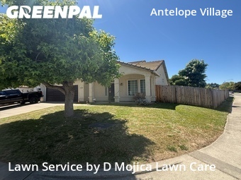 Yard Mowing nearby Antelope, CA, 