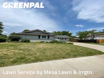 Grass Cut nearby Centennial, CO, 