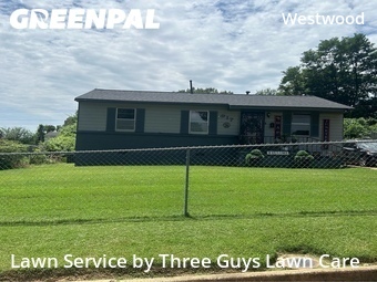 Landscaping Renovation In Memphis,38109,Landscaping Cleanup by Three Guys Lawn Care, work completed in Jun , 2026