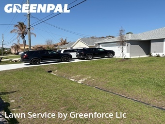 Grass Cut nearby Port St. Lucie, FL, 