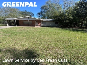 Grass Cut nearby Ocala, FL, 