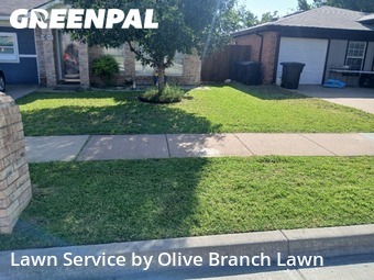 Lawn Maintenancein Keller,76248,Grass Cutting by Olive Branch Lawn, work completed in Jun , 2026