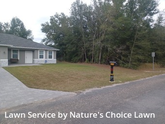 Lawn Upkeep in Citrus Springs, 34434, Lawn Work by Nature's Choice Lawn, work completed in Dec , 2025