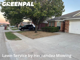 Yard Cutting nearby Haslet, TX, 