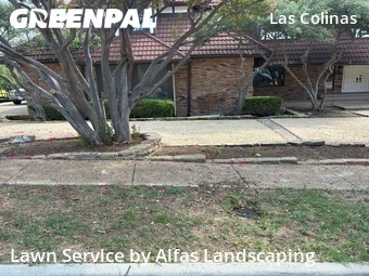 Yard Mowing nearby Irving, TX, 