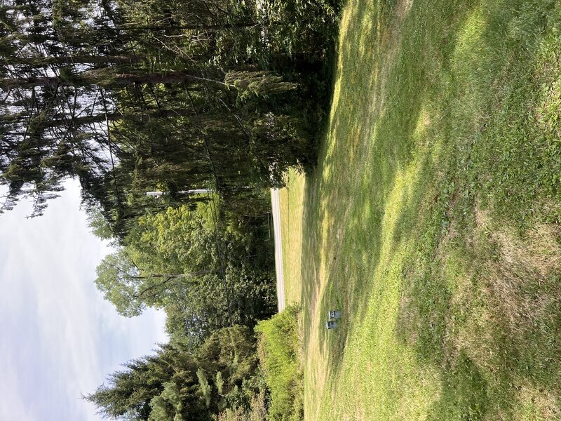 Work Image 4
