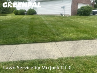 Grass Cutting nearby Fishers, IN, 