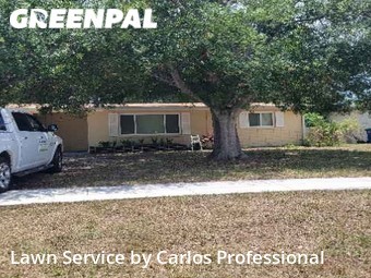 Grass Cut nearby Clearwater, FL, 