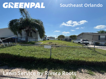 Grass Cut nearby Orlando, FL, 