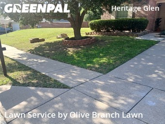 Lawn Carein Fort Worth,76244,Lawn Mowing Service by Olive Branch Lawn, work completed in Jun , 2026