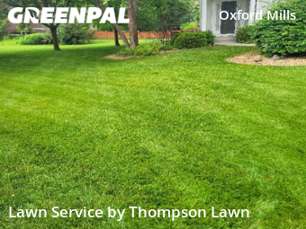 Lawn Cut nearby Overland Park, KS, 