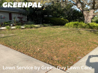 Grass Cut nearby Temple Terrace, FL, 