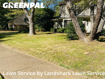 Yard Cutting nearby Memphis, MS, 