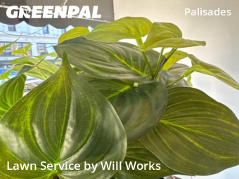 Lawn Service nearby Charlotte, SC, 