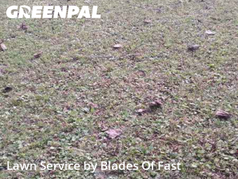Lawn Mowin East Point,30344,Lawn Cut by Blades Of Fast, work completed in Dec , 2025