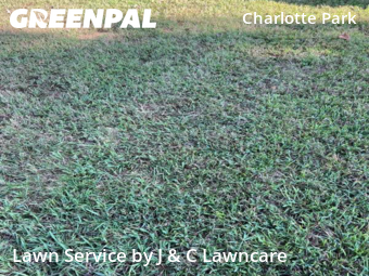 Grass Cutting nearby Nashville, TN, 