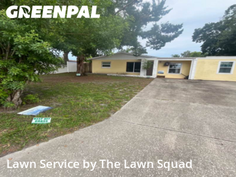 Lawn Cut nearby Clearwater, FL, 