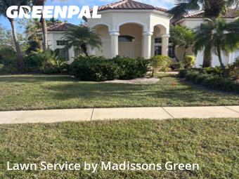 Yard Maintenance in Wellington, 33414, Yard Management by Madissons Green, work completed in Dec , 2025