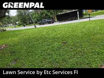 Lawn Maintenancein Dunedin,34698,Lawn Cutting by Etc Services Fl, work completed in Nov , 2025