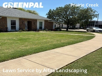 Grass Cut nearby Plano, TX, 