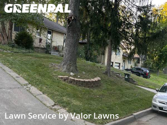 Yard Cutting nearby Lincoln, NE, 